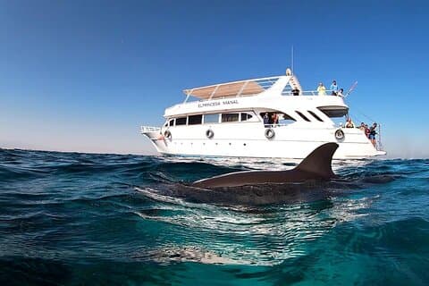 Excursion en mer au Royal Dolphin House Hurghada
