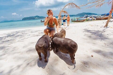 Pig Island Private Longtail Boat Trip From Koh Samui