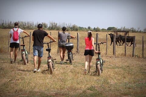 Aigues Mortes : Safari vélo électrique - Ebike en Camargue