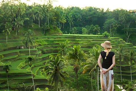 Excursão privada em Ubud: Waterfall, Rice Terrace & Temple
