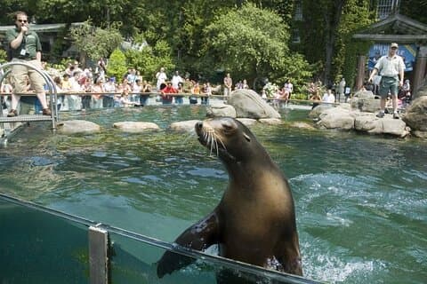 Central Park Zoo og 3 timers gåtur på Manhattan