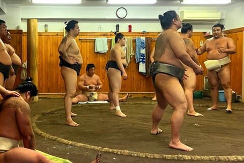 Tokyo Walking Tour: Sumo, sushi, te, templer og Tokyo Tower