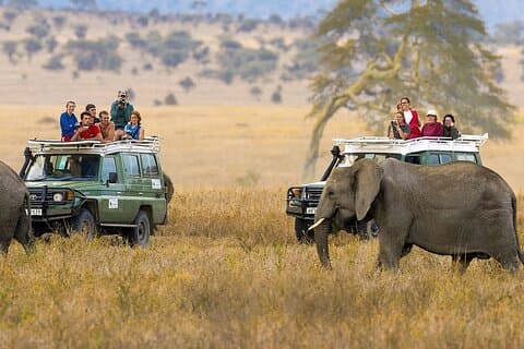 5 dager Nairobi Amboseli Tsavo West og Tsavo East National Park