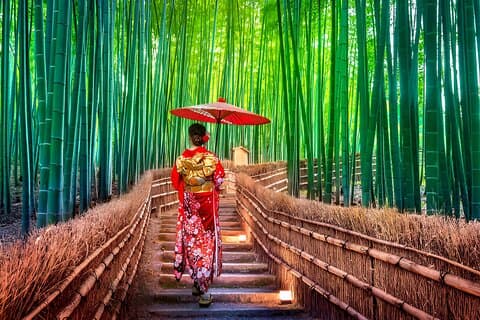 Kyoto Highlights Tour Privado com Pick and Drop