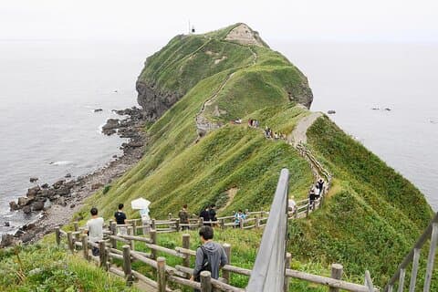 Hokkaido Scenic Cape Tour: Explore the Best of Shakotan Peninsula