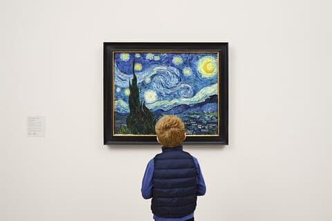 Visitez le musée d'art moderne et la visite à pied de Manhattan