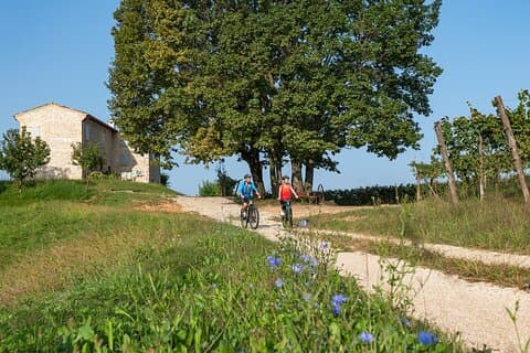 6-Hours Private Guided Tour of Prosecco by Bike