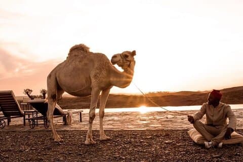 1000 e 1 noite no deserto de Agafay - White Camel Camp Experience