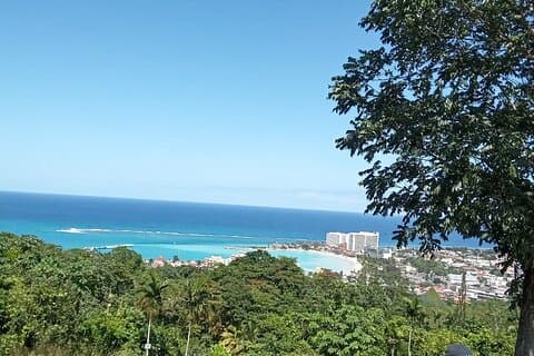 Shopping and Sightseeing from Riu Aquarelle/ Falmouth