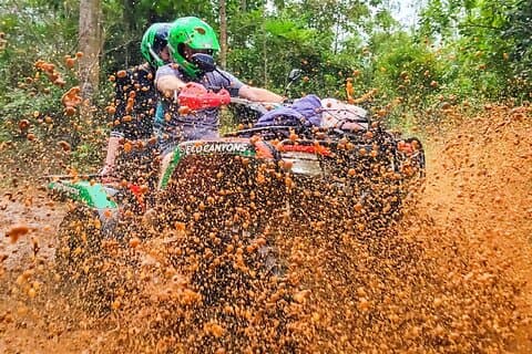 ATV Adventure through the Forest with Canyon Views