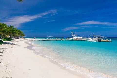 Roatan Excursion: Sloth Park and West Bay Beach Day Pass