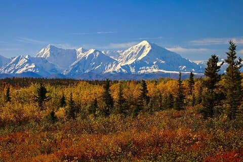 Shared Fairbanks to Denali National Park Entrance Transport