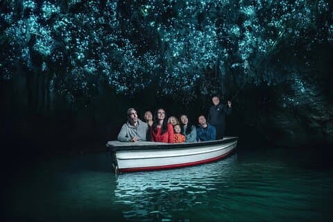 WAITOMO - Twin Caves Discovery - Private Day Tour from Auckland