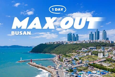 Max Out Busan: Fremhev toppattraksjoner en dagstur