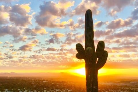 Spectaculaire begeleide wandeling bij zonsopgang in Phoenix, Arizona