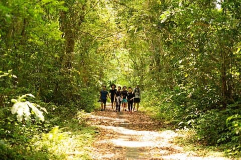 Van Catba: volledige dagtrekking Cat Ba Nationaal Park, Viet Hai
