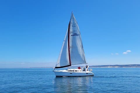 Monterey privécruise van 3 tot 4 uur om walvissen te spotten