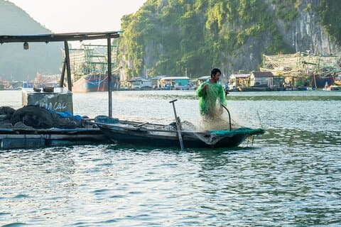 Entdecken Sie Lan Ha, Halong-Bucht: Ganztägige Bootstour ab der Insel Cat Ba