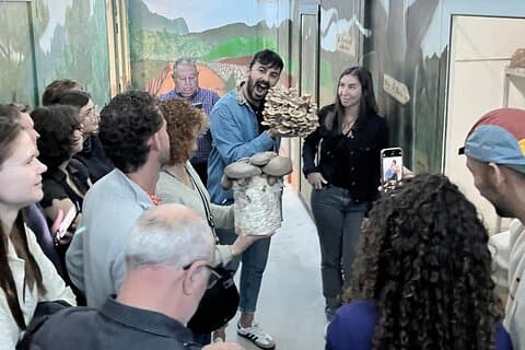 Guided tour and tasting in mushroom cultivation
