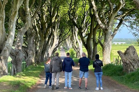 Tour di lusso della Giants Causeway da Belfast