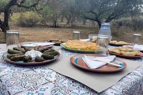 Héraklion : visite d'une ferme d'olives et de fruits du dragon et brunch des agriculteurs crétois