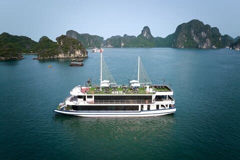 Arcady Cruise Tour de lujo de 1 día desde el puerto de Tuan Chau/recogida