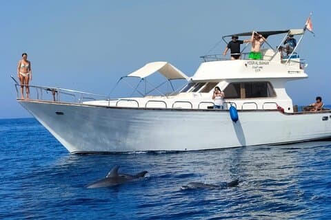 PRIVÉ! | Excursion en bateau d'une journée complète | Jusqu'à 14 | Plongée en apnée et visite des îles