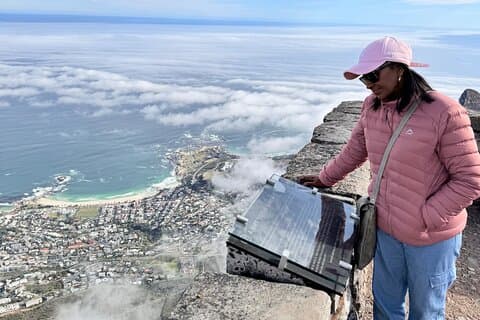 Taffelberget, pingviner och Muizenberg Beach privat halvdagstur