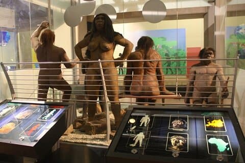 Cradle of Humankind Heldagstur från Pretoria och Johannesburg