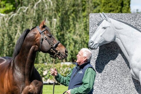 Irish National Stud & Gardens Entrée coupe-file