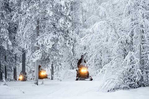 3H Private Snowmobile Experience in Rovaniemi's Forest