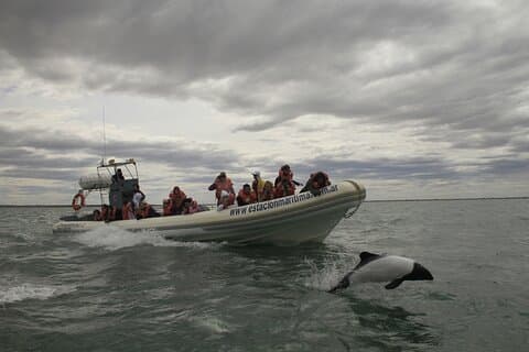 Vale Inferior do Rio Chubut com observação de barco de Golfinhos