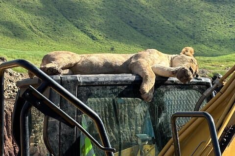 Experiencia mixta de 4 días: Tarangire, Serengeti & Ngorongoro