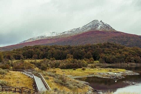 Ushuaia: Tierra del Fuego National Park - Shared Experience