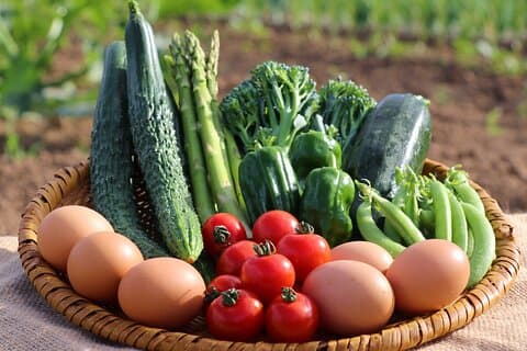 Harvest Experience in Akaigawa with Lunch Freshly Picked Veggies