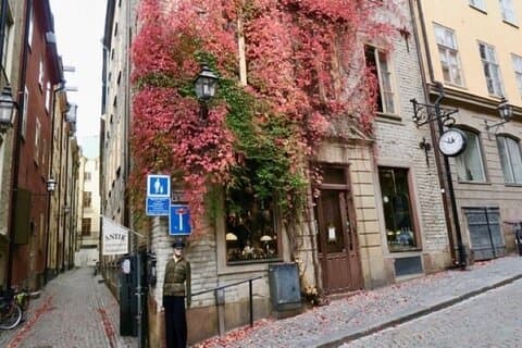 Stockholm Private Group Walking Tour | 3 Hours