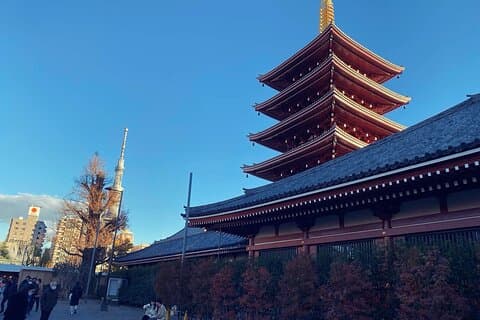 東京プライベート日帰りツアー──ローカルドライバー