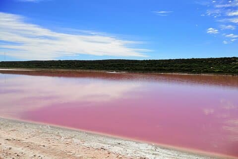 2 Tage Kalbarri und Pink Lake Tour Montag Abreise