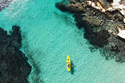 Golfo Aranci: tour en kayak con aperitivo y avistamiento de delfines (máximo 9 personas)