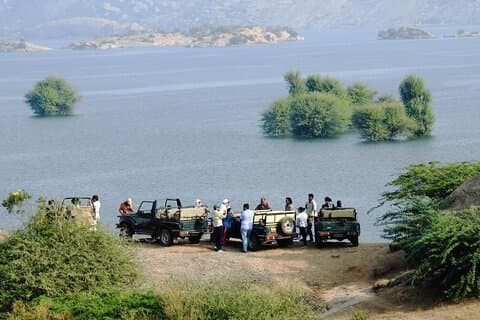 Jawai Jungle Safari fra Udaipur 2 nat 3 dage