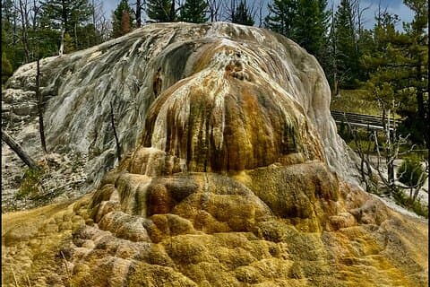 Private Yellowstone Wildlife and Photo from West Yellowstone