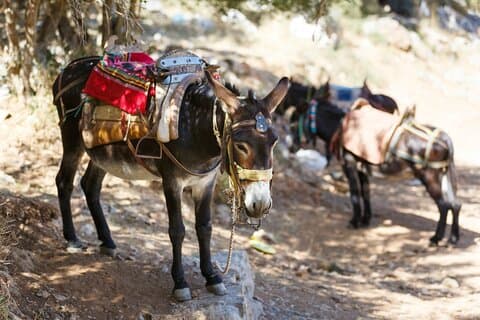Visite historique privée des villages de Réthymnon avec déjeuner et vin