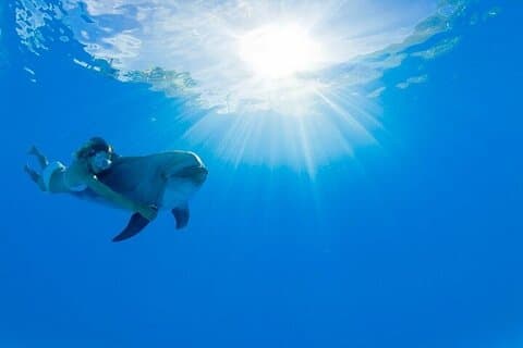 Unique Natural Space Dolphin Encounter in Cabo