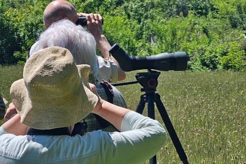 Viagem de 7 dias - Observação de pássaros na Albânia