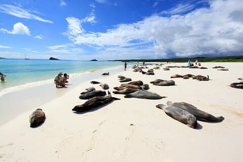 6-Day Galápagos Adventure Tour – Start & End at Baltra Airport