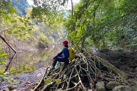 Trekking di un'intera giornata Avventura nel parco nazionale di Cat Ba dalla città di Cat Ba
