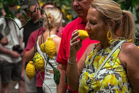 Sorrent Ape Tour, Zitronengarten, Mozzarella Show & Pizza Class