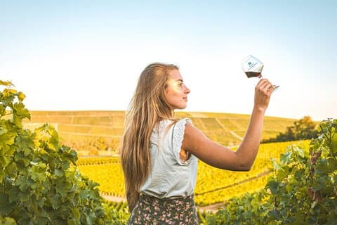 Sancerre Private Wine Day da Parigi con 10 Degustazioni & Pranzo