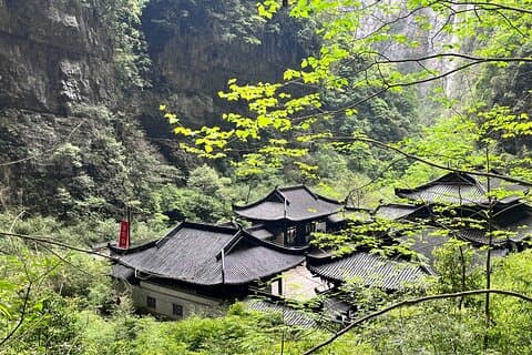 Wulong Private Tour All Inclusive: Premium Vehicle & local Lunch