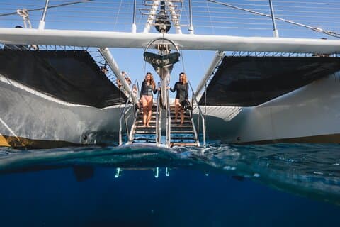 Hoteller i nærheden af Turtles & Tacos Luxury Catamaran Snorkel